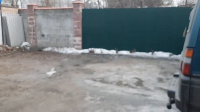 Оптический прицел на Hatsan Striker Edge. BSA 4-16*44. Моя Обновочка