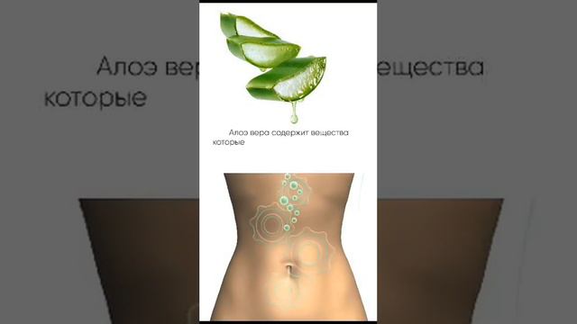Капсулы Алоэ🔥 смотреть онлайн