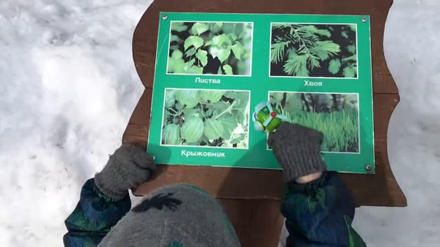 201903 золотоеКольцо смотреть онлайн
