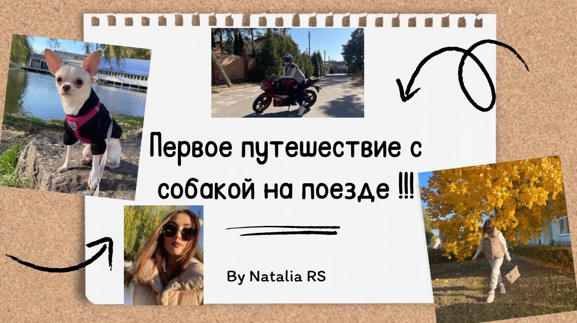 VLOG / Путешествие с собакой на поезде! / Воронежская область / Санаторий - осень 2023 смотреть онлайн