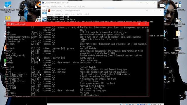 【163日目】CentOS8をVirtualBoxへインストール смотреть онлайн