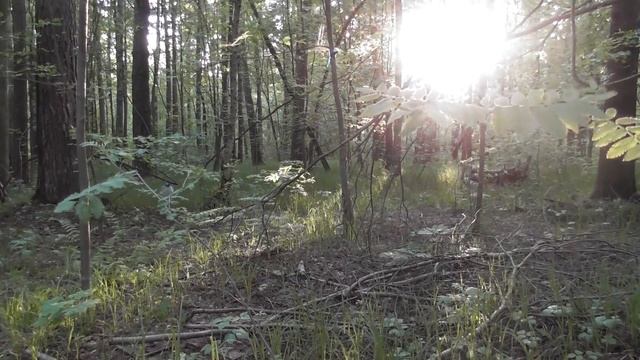 Нн ИВАНОВ _ ДкХ ( ОБЩЕНИЕ С ПРИРОДОЙ ) 2022 смотреть онлайн