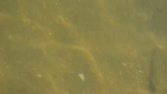 Бычки смотреть онлайн