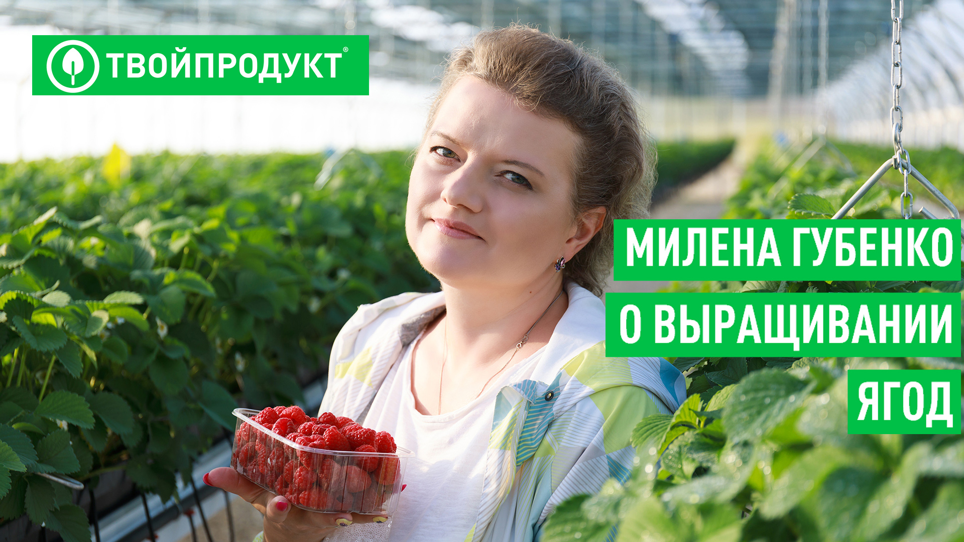 Как устроена ягодная плантация смотреть онлайн