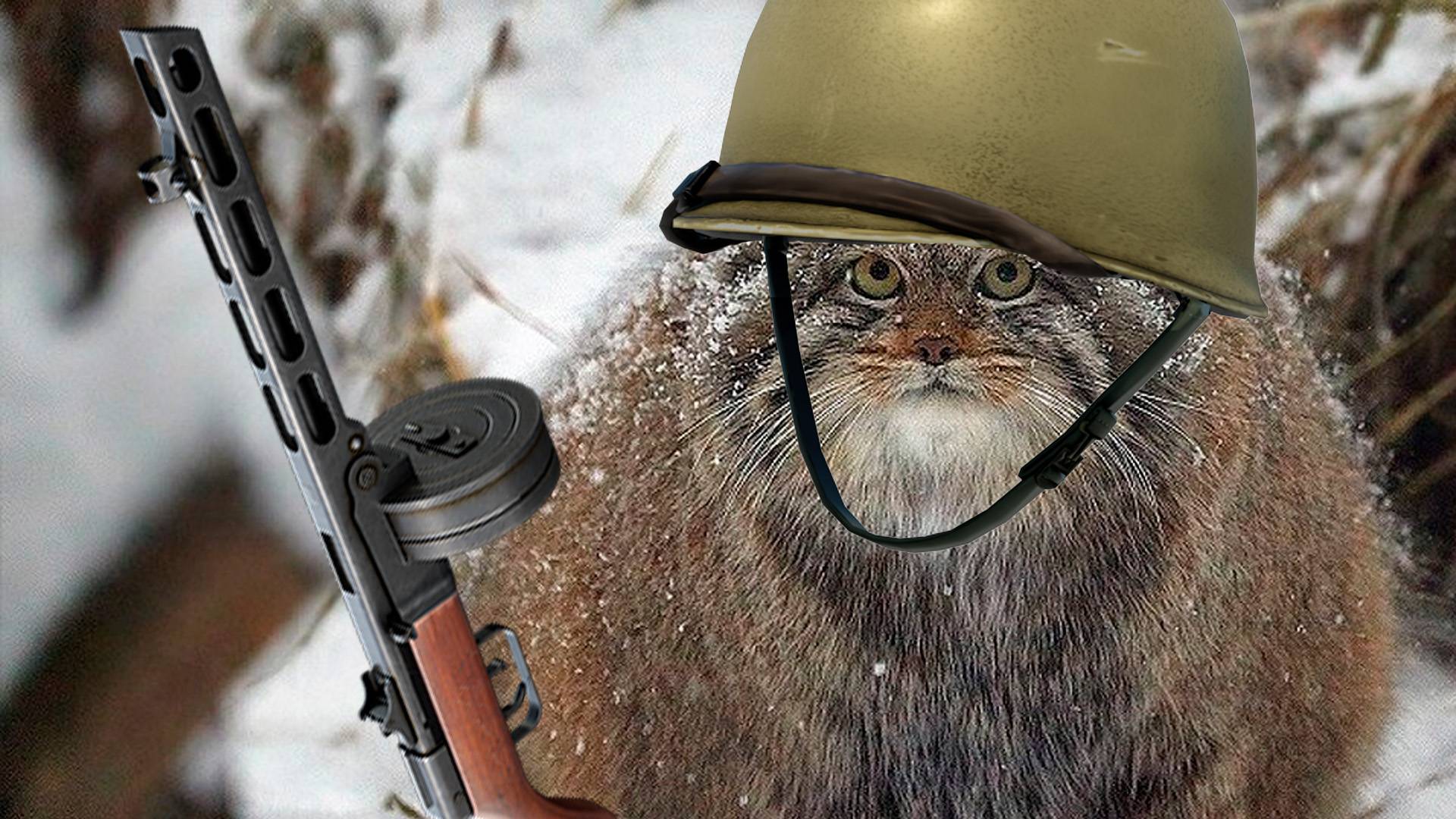 поиграл в Call Of Duty World At War