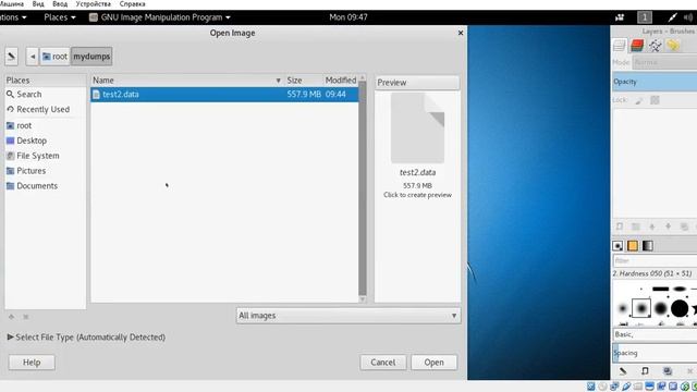 Extract raw picture from VirtualBox machine's dump in elf format смотреть онлайн