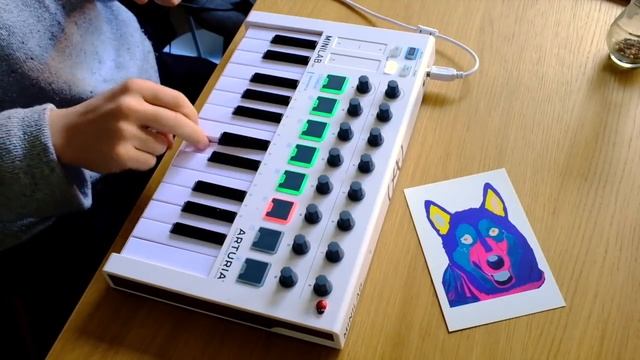 Gotye - Somebody That I Used To Know (Livelooping Cover - Arturia Minilab MkII)