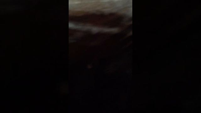 заготовка дров и за одно уборка во дворе. смотреть онлайн