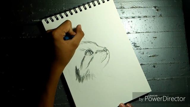 DRAWING A BASIC CAT (Speed drawing) смотреть онлайн