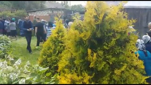 Памяти моего духовника о. Сергия (Колобкова) смотреть онлайн