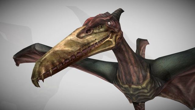 Cliff Racer ∣ ESO › Creatures › Animals смотреть онлайн