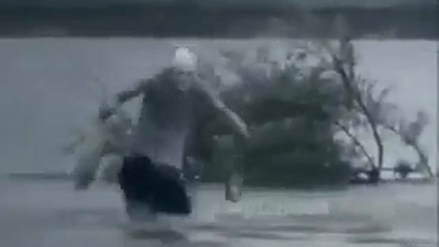 Моя бабушка с магазина смотреть онлайн