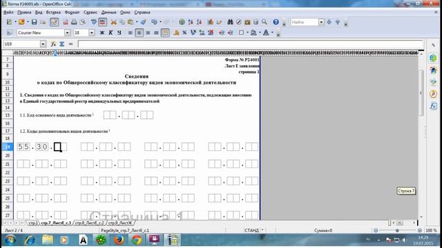 Как внести изменения по ОКВЭД? Форма Р24001 (образец заполнения) смотреть онлайн
