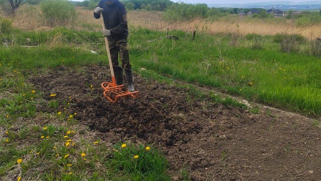 Купил и тестирую чудо-лопату