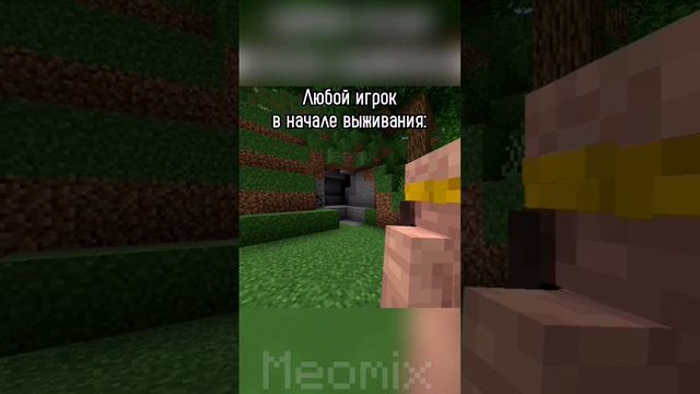 рано или поздно всем туда надо | #games #meme #minecraft #бедрок #пе #mine #minecraftmemes #приколы смотреть онлайн