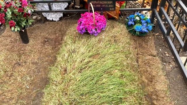 Последний адрес Андрея Трубникова смотреть онлайн