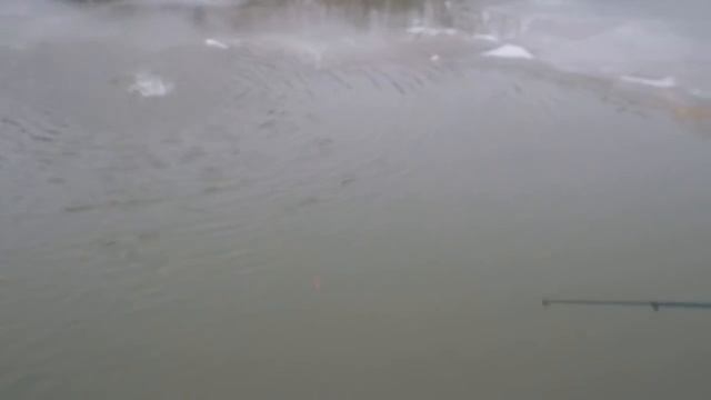 Ловля форели на кукурузу смотреть онлайн