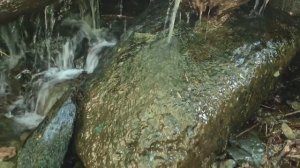 Прогулка по окрестностям села Акташ горного Алтая