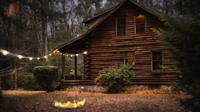 Треск огня | Пение птиц | Сверчки | Шале в лесу | Домик в лесу | Уютное видео для расслабления и сн смотреть онлайн