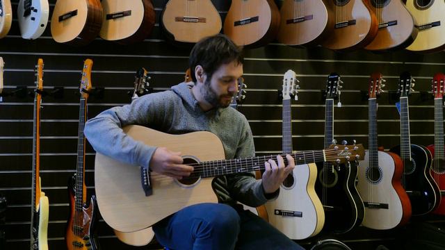 Ashton - D20 CEQ NTM Acoustic Guitar Demo смотреть онлайн