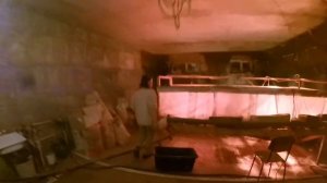 Итоги инкубации крупного яйца бройлера Кобб-700/ Вес суточного цыпленка