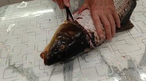 Как быстро почистить сазана (карпа) в квартире | Как разделать карпа или сазана