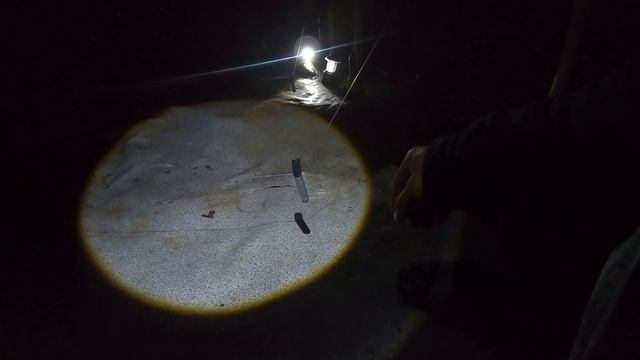 ВОТ ЭТО КОНИ ПРИШЛИ НА ТОЧКУ!!!РЫБАЛКА НА ДОНКИ.ЛОВЛЯ ЛЕЩА НА РЕЗИНКУ.