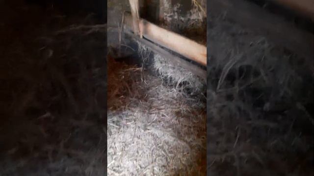 Куда пропала совесть? может её и не было? смотреть онлайн