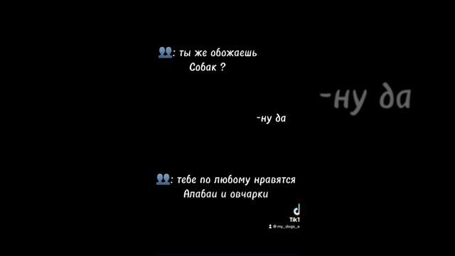 Дрт 💕🐶 #дрт #белла #джекрасселтерьер #друг #любовь #собака #друзья #тикток смотреть онлайн