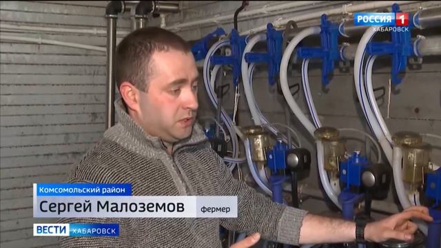 Сельскохозяйственный хай-тек: местные производители молока получают господдержку в Хабаровском крае смотреть онлайн