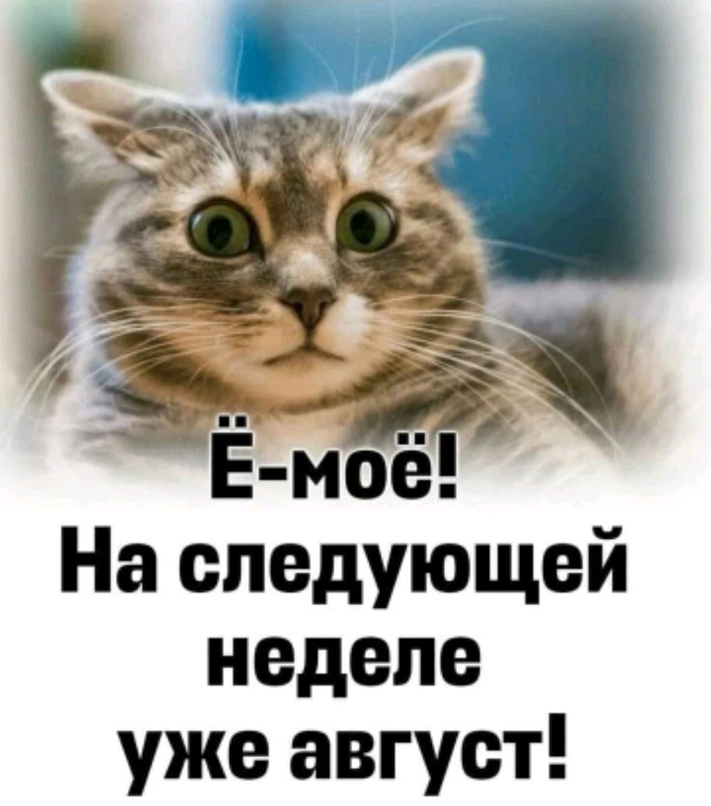 утренняя трансляция