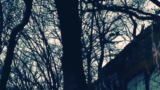 Urbex GERMANY Lost Places GEILENKIRCHEN Kreis Heinsberg Nrw Deutschland Graffiti Bonus