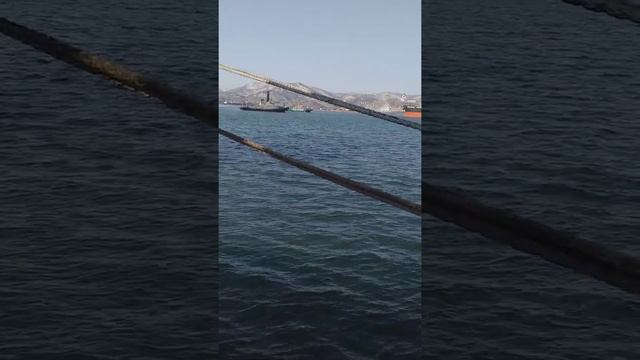 Находкинский морской торговый порт 22.02.2021 смотреть онлайн