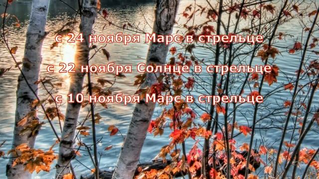 Телец Ноябрь 2023 астрологический прогноз смотреть онлайн