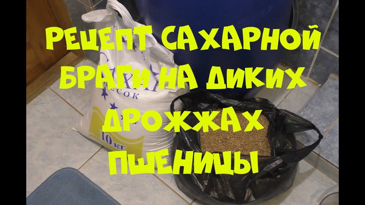 Домашний СЭМ I HomeMoonshine