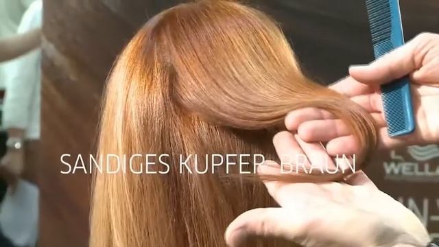 Illumina Color Salon DVD DE