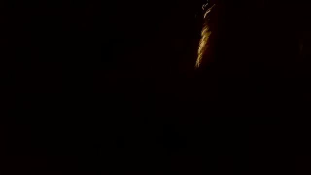 12 Palm Tree BP Burst смотреть онлайн