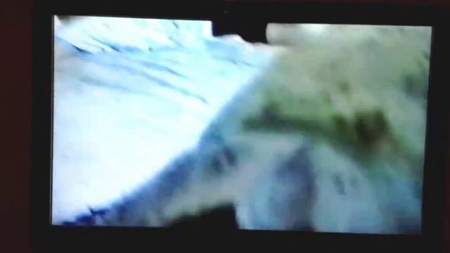 КРАТКАЯ ИСТОРИЯ ---МАЛИКА!!!