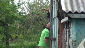 В гостях у голубеводов Приволья. 2 часть