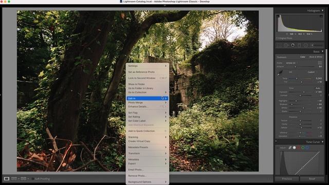 Orton Effect: How to add a dreamy glow to your photos (Photoshop tutorial) смотреть онлайн