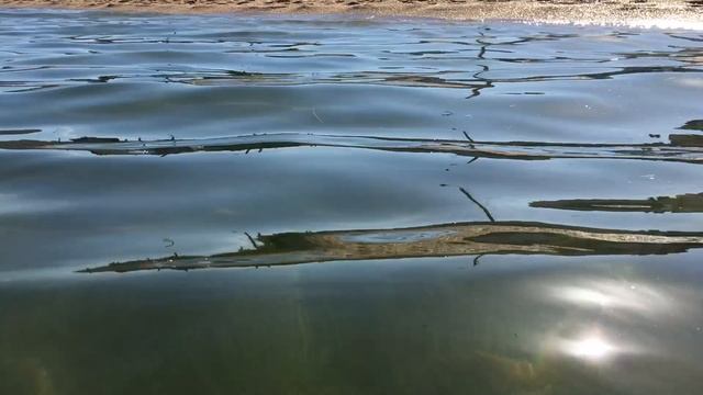 Медузы в Черном море. Феодосия. смотреть онлайн