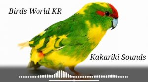 Какарики звуки