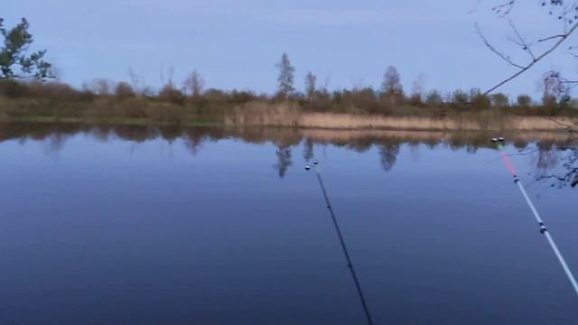 Рыбалка в д. Загубье смотреть онлайн