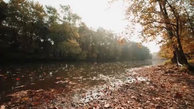 Вечерняя молитва Александра Меня смотреть онлайн