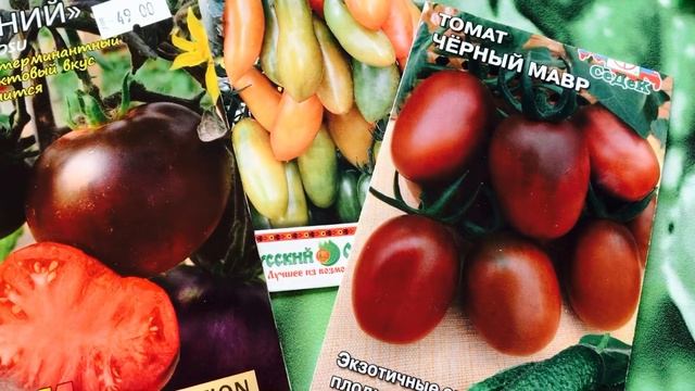 Самые урожайные томаты ? - СЕМЕНА лучших?радужных ?сортов !!!#черри#лучшиетоматы#семенатоматов смотреть онлайн