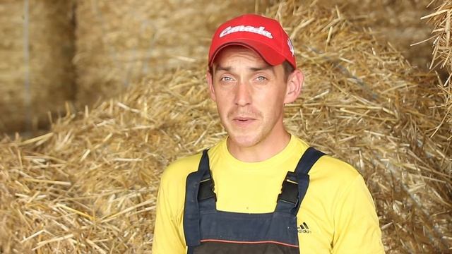 КЕТОЗ. ЦИРРОЗ ПЕЧЕНИ у коров. Причины. Профилактика. Fatty liver in cows. Reasons. Prevention. смотреть онлайн