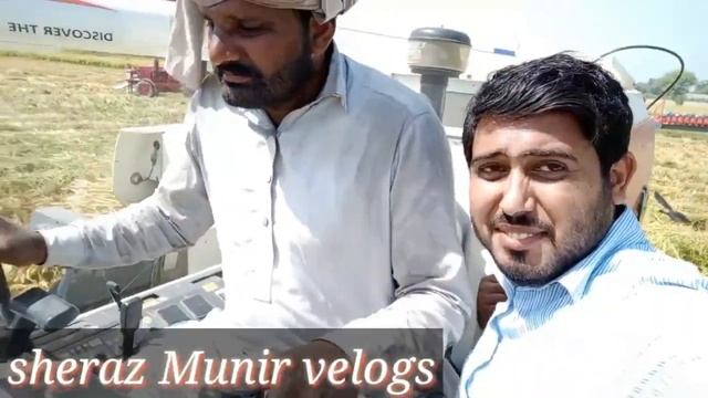 Dhan ka kheet|Rice Harvesting Process|Sheraz Munir|Sheraz Munir vlogs|Amazing Rice Harvester смотреть онлайн