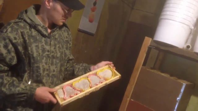 Мёд в Рязани | Автоматическая медогонка | Сотохранилище и Вощины в форме сердечек смотреть онлайн