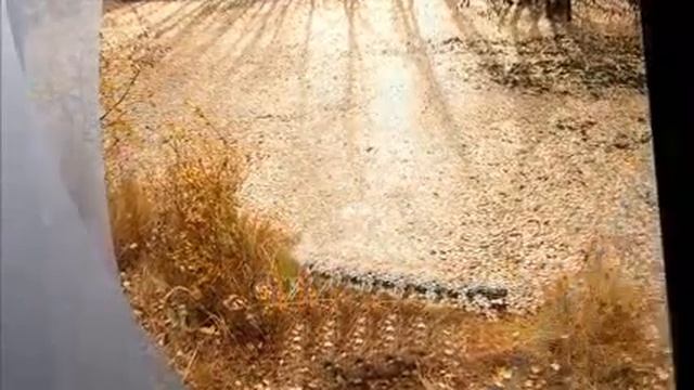 Мой край родной.wmv смотреть онлайн