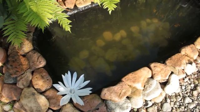 АЛЬПИЙСКАЯ ГОРКА. КАК УХАЖИВАТЬ ЗА ПРУДОМ? Пошаговая инструкция. смотреть онлайн